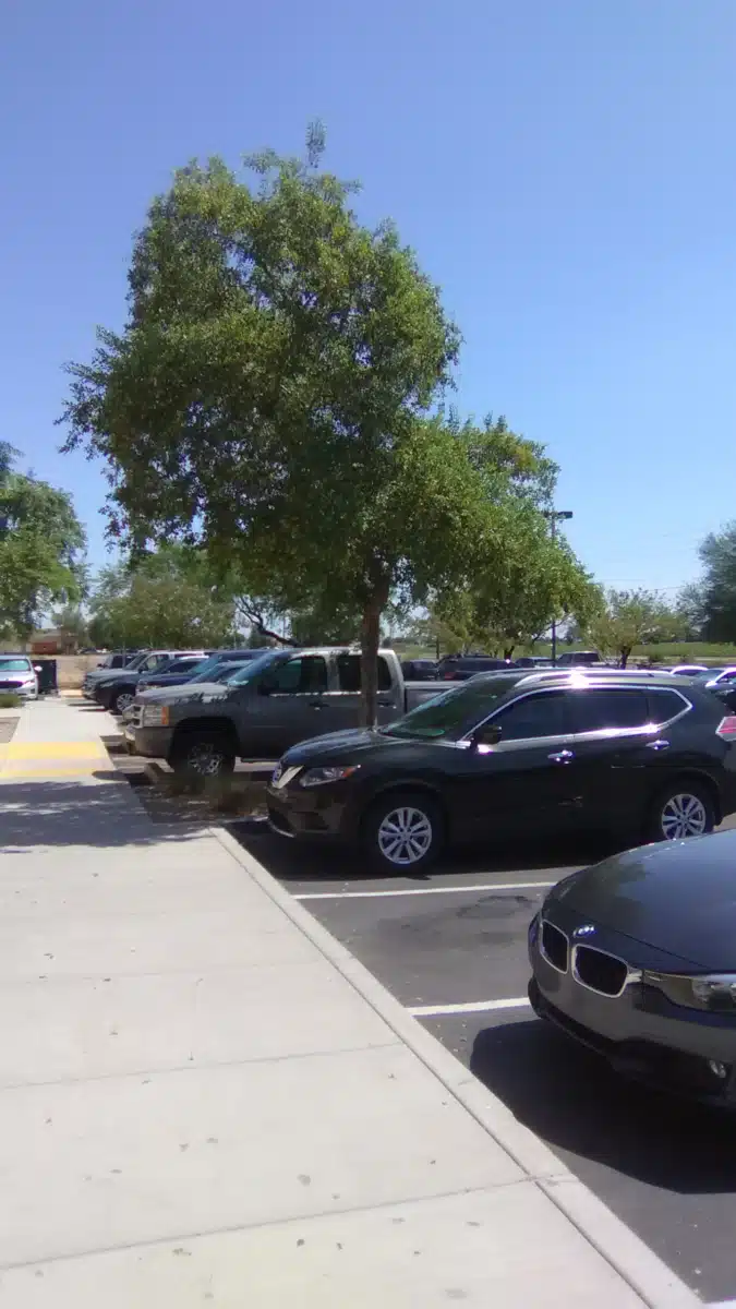 CleanSlate Centers - Thumbnail 9