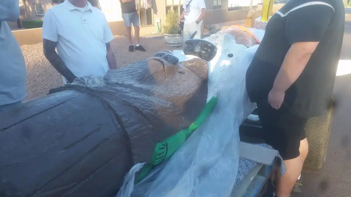 Community Bridges Inc - Thumbnail 9