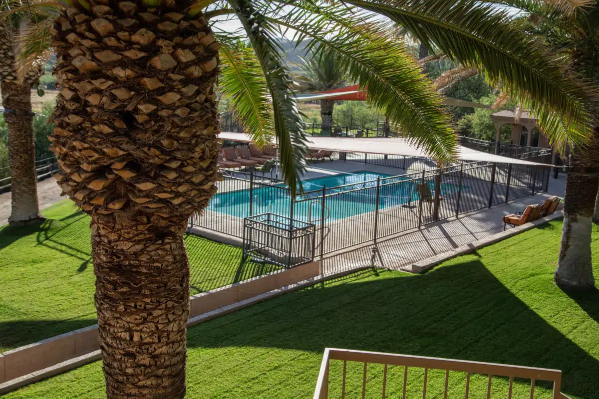 Meadows - Thumbnail 4