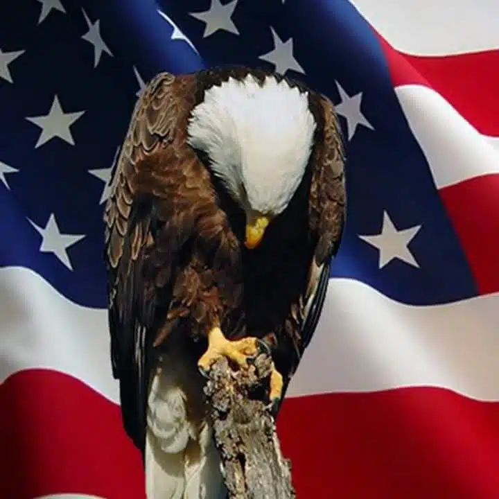 Northern Arizona VA Healthcare System - Thumbnail 9